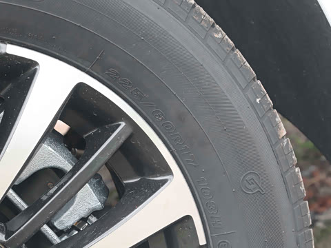 2023�� ����ϵ�� 390T ������