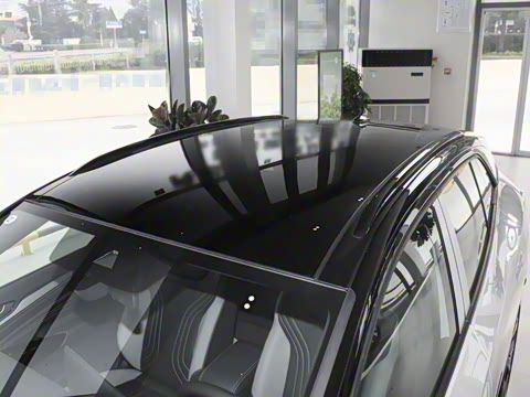 2025�� ������������ʿPRO��