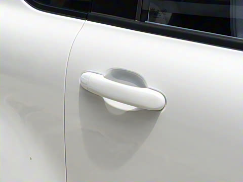 2025�� 222km �鶯��