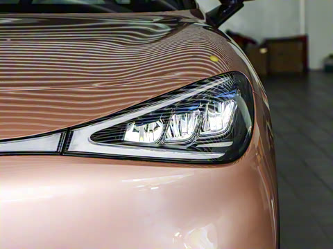 2026�� �鶯��������