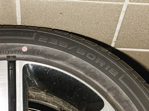 2026�� �鶯��������