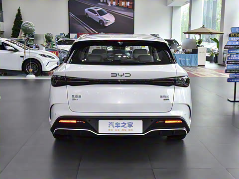 2025�� DM-i 80KM�����