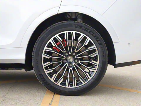 2025�� FREE+ ����Ǭ����