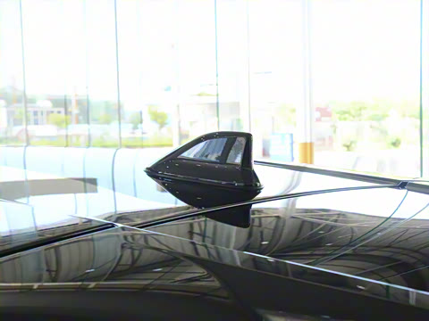 2021�� 2.0L ������