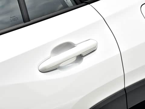 2020�� ˫�� 2.5L E-CVT������ӢPLUS��