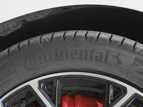 2025�� ���� 230ProѲ����