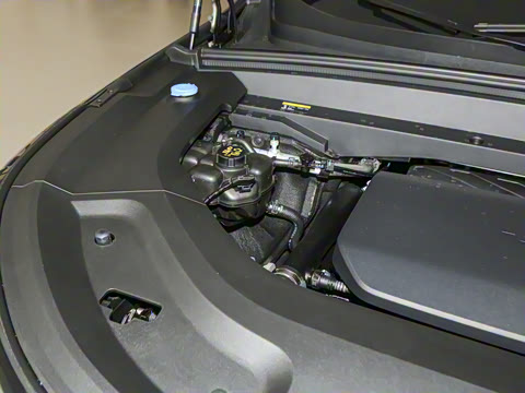 2025�� Max ���ܻ��°�