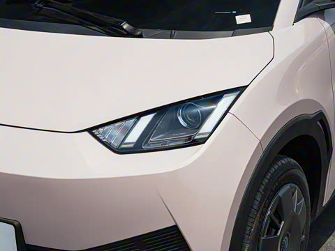 2025�� �Ǽݰ� 305km ������