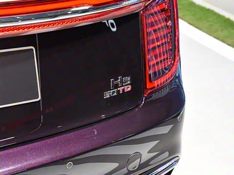 2020�� 3.0T ��������������