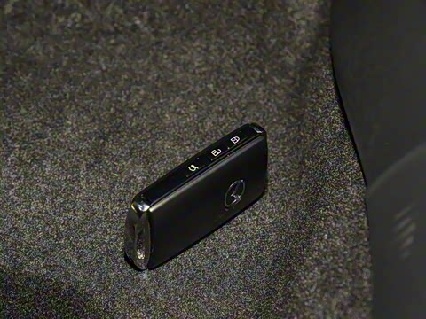 2023�� 2.0L ���а�