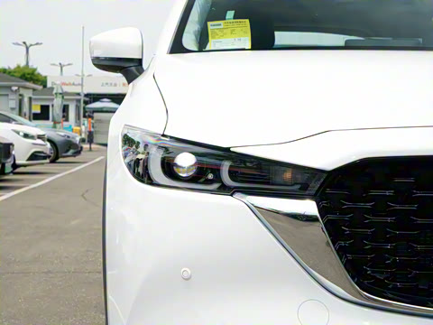 2025�� 2.0L �Զ���������Pro