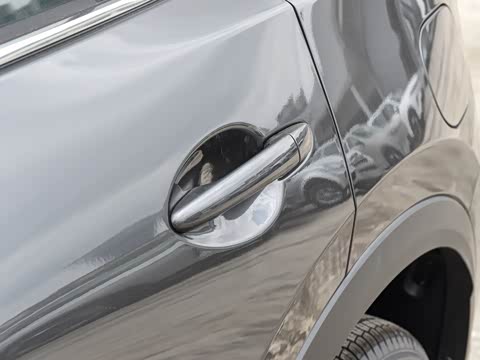 2025�� 2.0L �Զ���������Pro