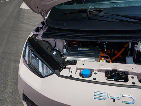 2025�� �Ǽݰ� 305km ������