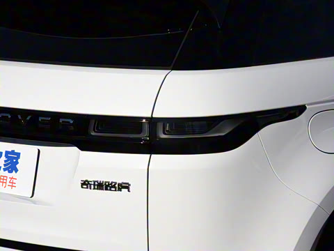 2021�� ����L P300e ������