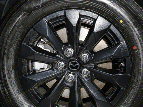 2023�� 2.0L ���а�