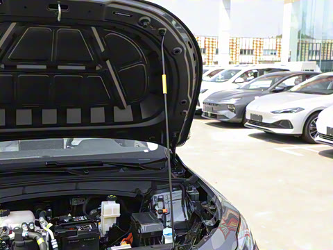 2025�� 450km ������