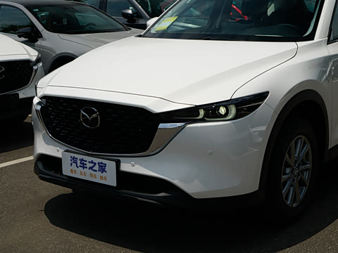 2025�� 2.0L �Զ���������Pro