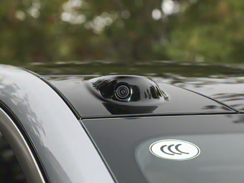 2025�� Max ������