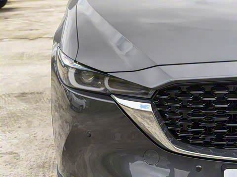 2025�� 2.0L �Զ���������Pro