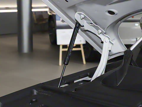 2025�� ���� 265 Pro�������ٸ�����ʻ