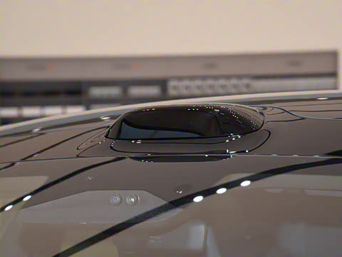 2025�� ������������������Max��