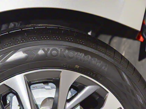 2025�� ��ҫ�ر��