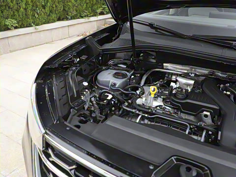 2025�� �Ŀ� ������ 300TSI