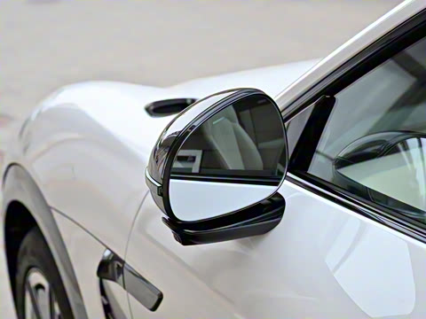 2025�� ��������������