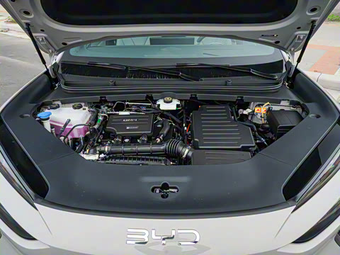 2025�� DM-i 170�캽Plus��