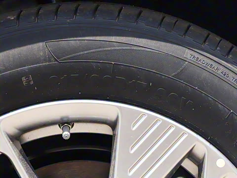 2025�� 445km ���ð�