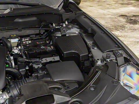 2025�� 2.0L �Զ���������Pro