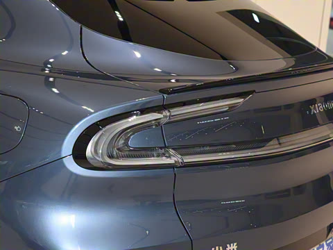 2025�� ������������������Max��