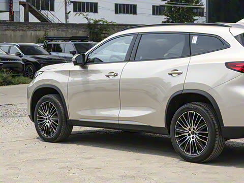 2025�� 300T ������ҹ��