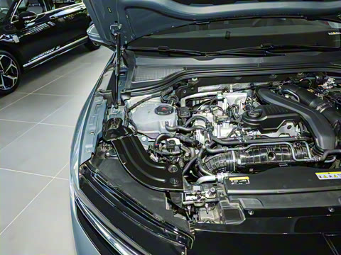 2024�� 300TSI DSG������