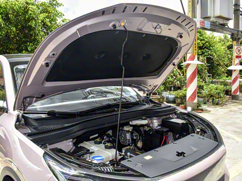 2025�� 445km ��ѡ��