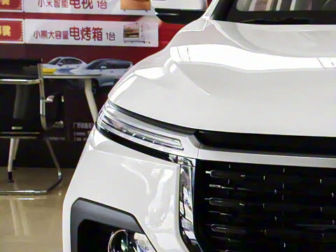 2021�� ȫ���������� 1.5T �ֶ������� 5��