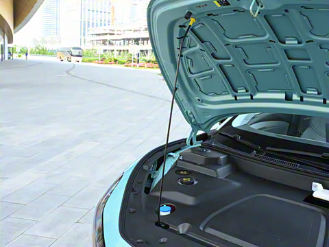 2025�� 600 �������� Max