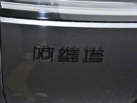 2025�� Max�����