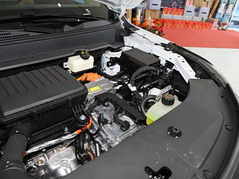 2025�� 165km ���������������� 7��