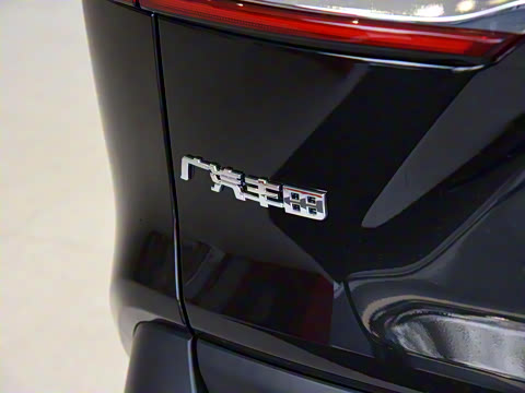 2022�� ˫�� 2.5L E-CVT��������