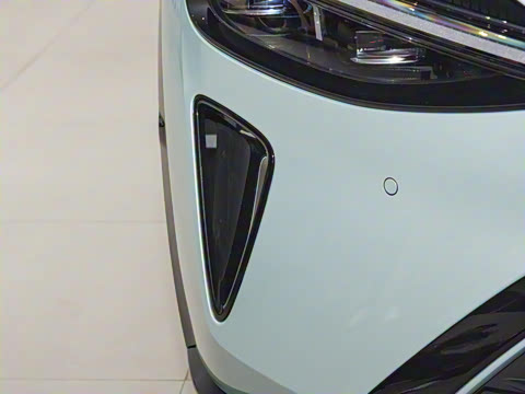 2025�� ������������������Max��