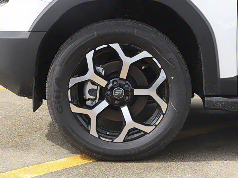 2025�� 226km ��Խ