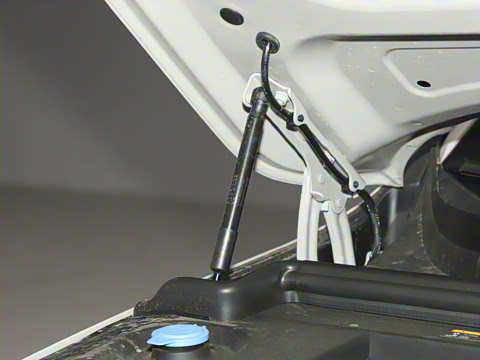 2025�� Max ���ܻ��°�