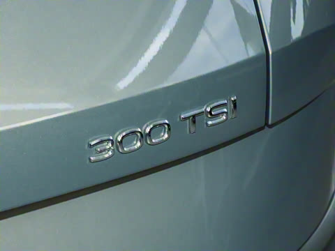 2024�� 300TSI DSG������