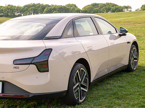 2025�� 502 ������ Max