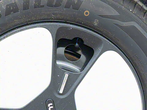 2025�� 205km ���߿�