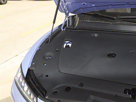 2025�� ���� 230ProѲ����