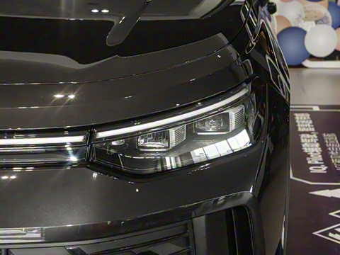 2025�� ̽��L 300TSI ������Ӣ