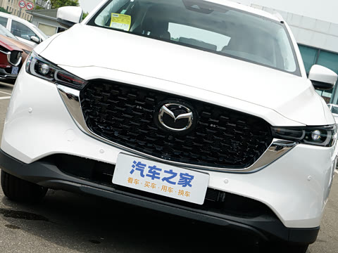 2025�� 2.0L �Զ���������Pro