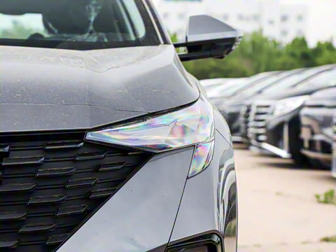 2025�� Ӱ�� 270T ������ ƽ������